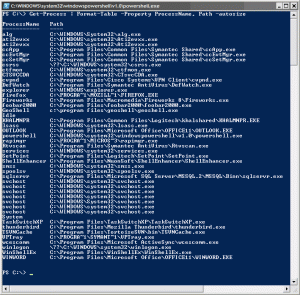 PowerShell showing the paths of the currently running processes