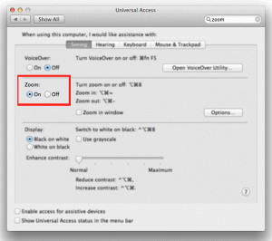 Universal Access in System Preferences.  Make sure that Zoom is set to On.