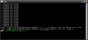 cygwin window showing the error